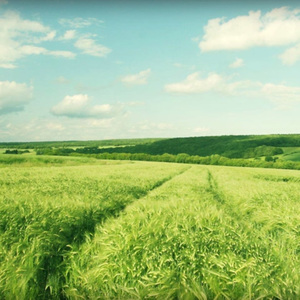 魅魔丝袜脚含精
